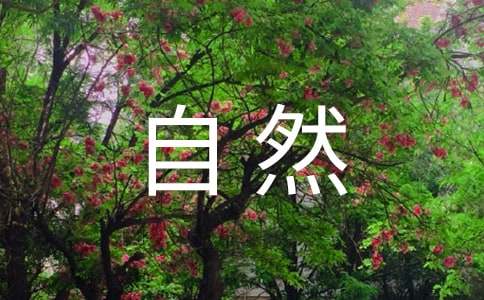 标准自然人借款合同
