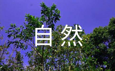 感悟大自然的作文800字