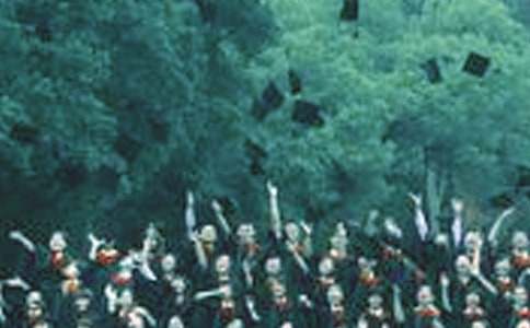 ��ҵʵϰ���� (15ƪ)