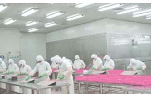 ����Ա����ְ����ģ��