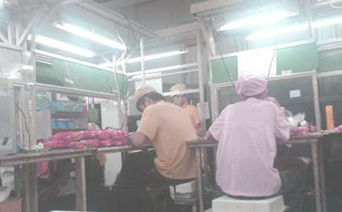 �������������ְ����(5ƪ)