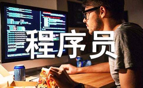 程序员的述职报告15篇