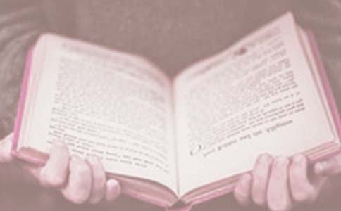 读书日活动总结