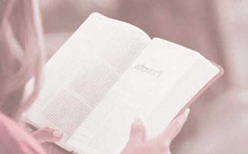 ���ر�������������ݽ�����ƪ