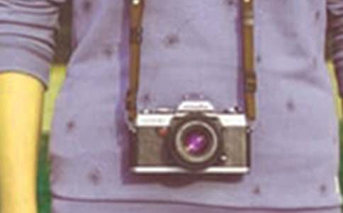 רҵ������λ��Ƹ�ݽ���15ƪ(����)