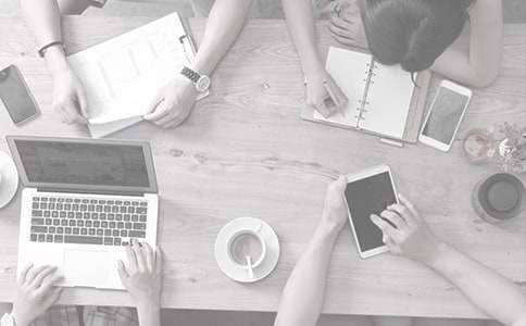 �������鹤���ƻ�