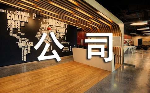 ��˾�Ž���ܽ᡾����