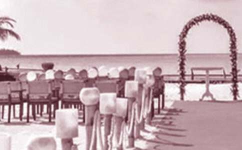 �����������´�15ƪ��ͨ�á�