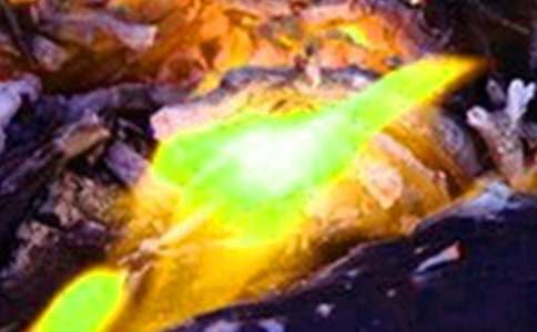 ����Ԥ�����ֵ��ĵ����