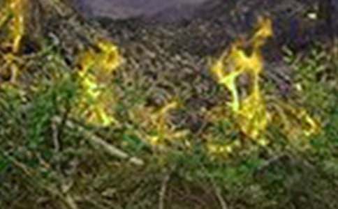 Ԥ�����ֵ��ݽ��巶��300��