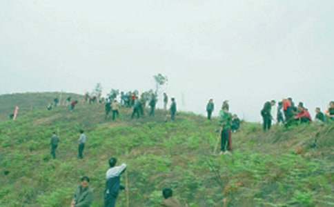 �����´�