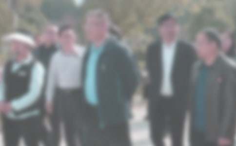 �ͼ첿ѧ�ڹ����ܽ�(����15ƪ)