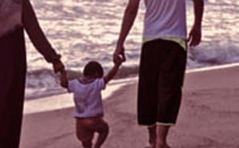 ȫ����ͥ���������ܻ�ܽ�(15ƪ)