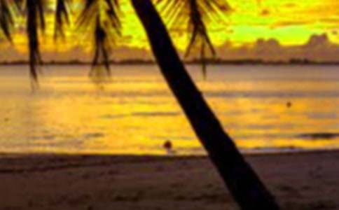 ���ڹ����ܽἯ��15ƪ