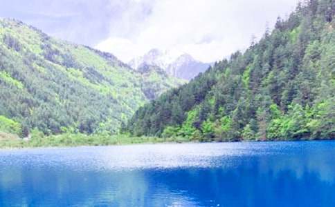 ��կ���ĵ����