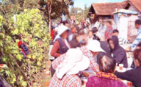 �İ��ϯ��ŵ��