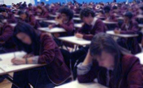 ���Գ��ų�ŵ������