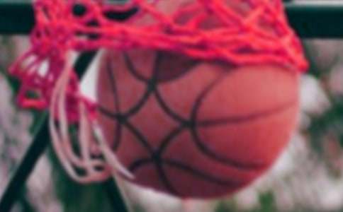 ������������ܽ�5ƪ