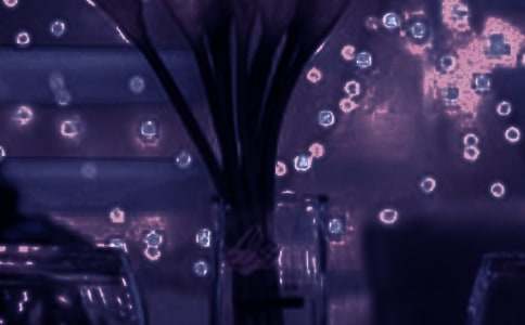 ��������Ψ��˵˵���ԣ�ͨ��40�䣩