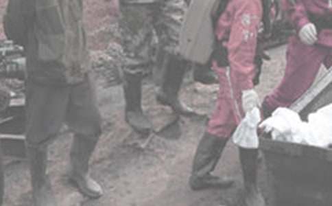 ú��ӳ���ְ����15ƪ