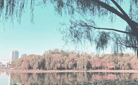 ���������＾�����ƻ�ģ�������ƪ