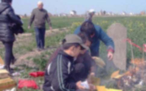 ��ʿ��԰ɨĹ�ĵ���ᣨͨ��31ƪ��