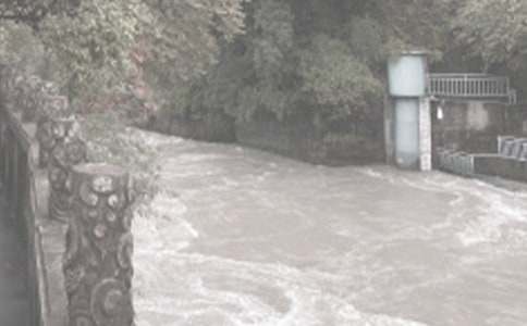 ˮ��������Ա���˹����ܽ�(10ƪ)