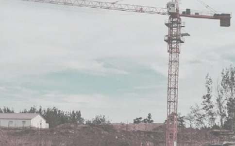 ��ľ����ʵϰ����(15ƪ)