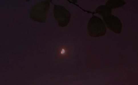 简单的晚安问候语集锦65条