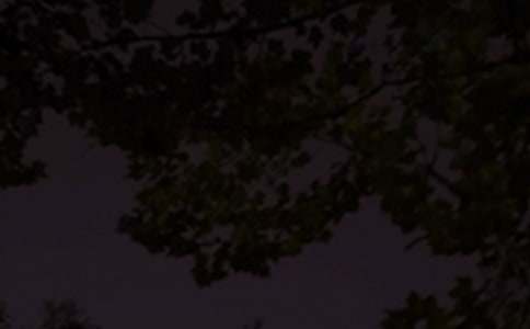 2026���й���ܰ�������ʺ�����¼����81��