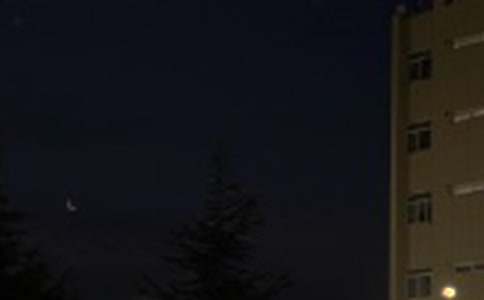 2026��ʵ�õ�Ψ���������ʺ��Ｏ��70��