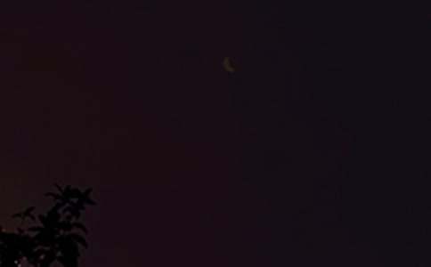 ������ܰ�������ʺ�����¼����43��