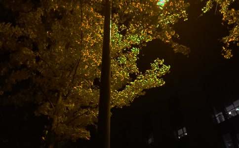 2026����������������ʺ���ϼ�68��