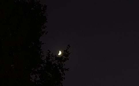 �������õ�����QQ�ʺ��Ｏ��73��