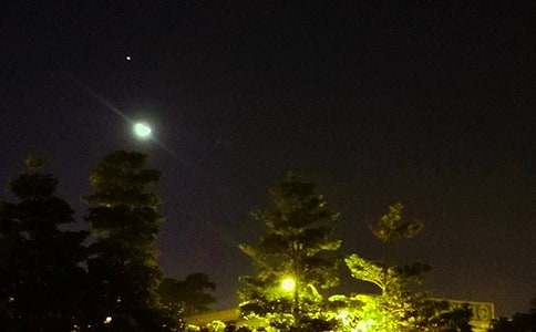 �й����õ�����΢���ʺ���ժ¼55��