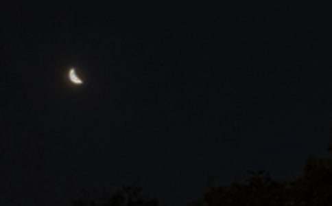 2026�����Ψ������������Ȧ�ʺ���ϼ�36��