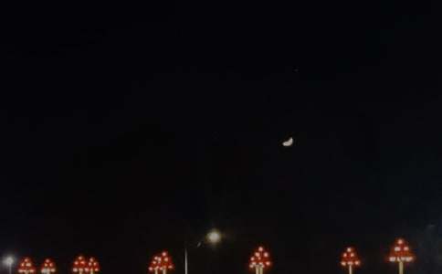 2026������΢���ʺ�����31��