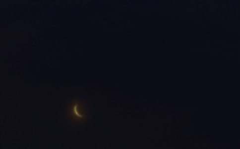 2026�������ů�������ʺ�����¼ժ¼31��