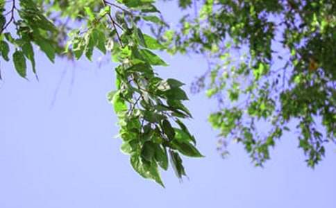 ���������簲ף�����ȫ��ͨ��50�䣩