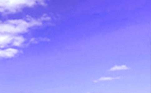 ����������簲ף�����ѡ50�䣩