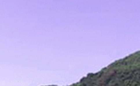 �簲ף������ܣ���ѡ100�䣩