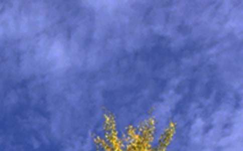 ��ů���簲QQ�ʺ���ϼ�83��