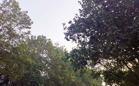 �����������簲ף�����ȫ90�侫ѡ