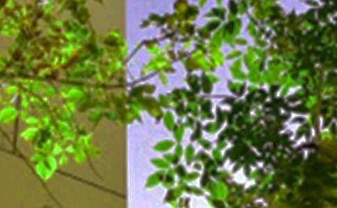 2026年温馨的午安微信问候语82条