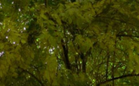 2026����ܰ���簲΢���ʺ���ϼ�82��