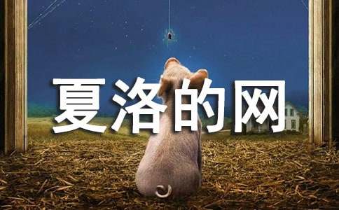 ����������ݽ���