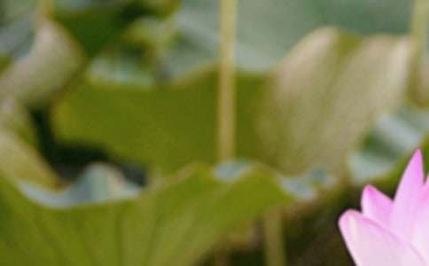 �����ݽ���