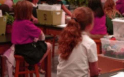 Сѧ�����ҽ���ģ��(����15ƪ)