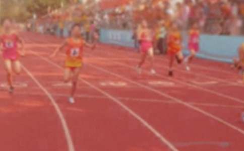 Сѧ�˶����ܽ�(��ѡ15ƪ)