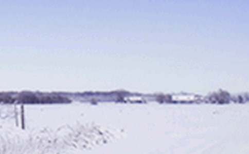 Сѩ�����ʺ���ϼ�50��